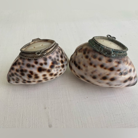 Mini Salt 🧂and Pepper Converted Shell 🐚 Shakers with Mother-of-Pearl Flip Lids - Picture 8 of 10